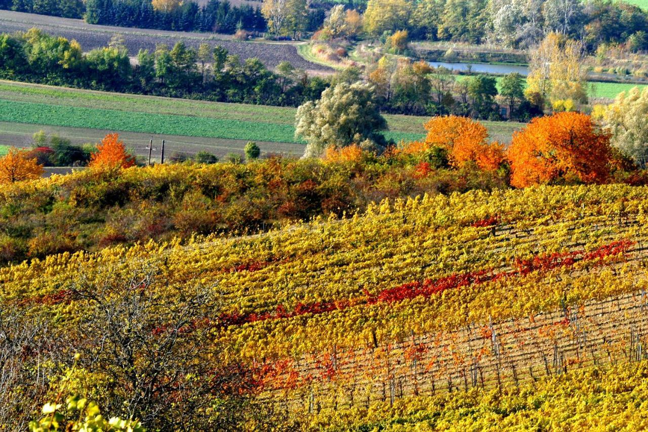Weingut Breitenfelder Retz Exterior foto
